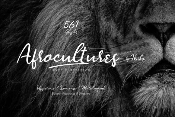 Afrocultures Font Poster 1