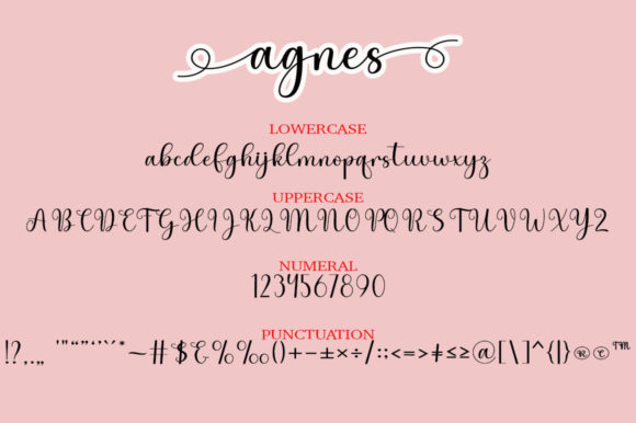 Agnes Font Poster 5