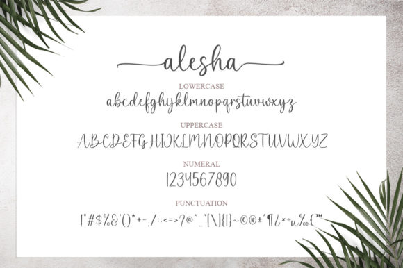 Alesha Font Poster 8