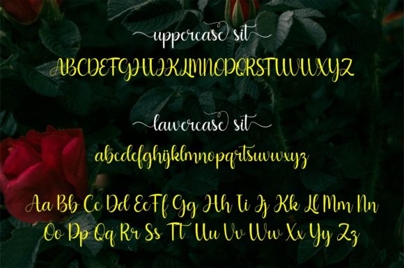 Alfaletter Font Poster 7