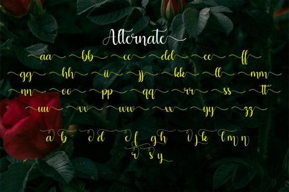 Alfaletter Font Poster 8