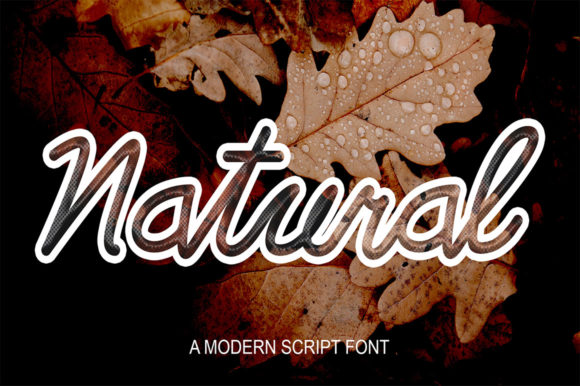 Alfinov Font Poster 4
