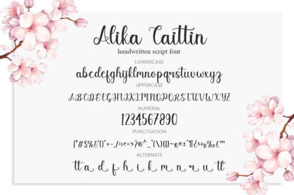 Alika Caitlin Font Poster 6