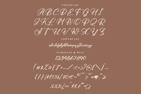 Alisha Cintia Font Poster 13