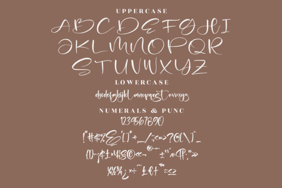 Alista Delita Font Poster 13