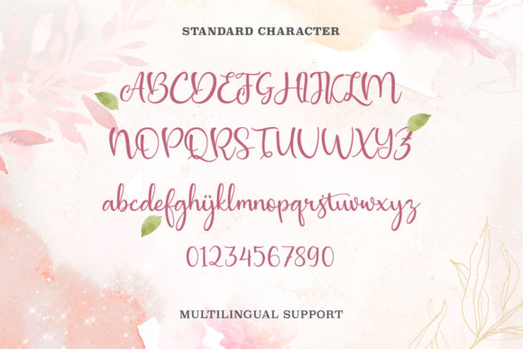 Allana Beauty Font Poster 5