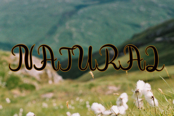 Almond Nut Font Poster 3
