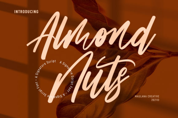Almond Nuts Font Poster 1
