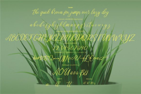 Almondo Font Poster 6