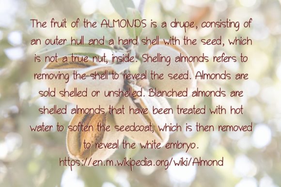 Almonds Font Poster 3