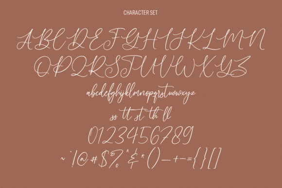 Alto Bonito Font Poster 8