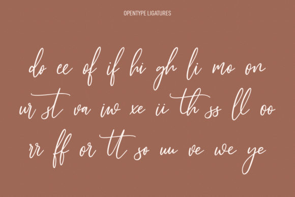 Alto Bonito Font Poster 9