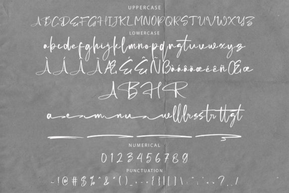 Amallicita Font Poster 8