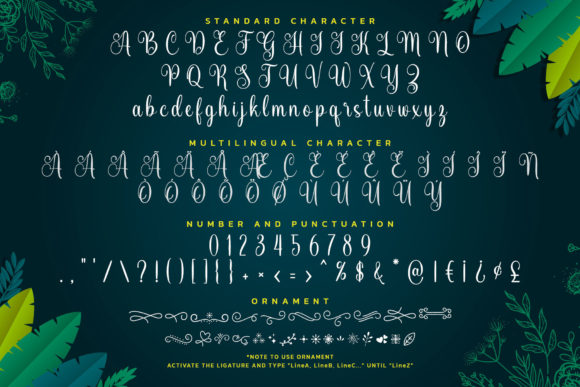 Amanda Sunshine Font Poster 6