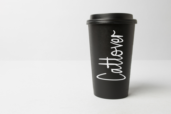Amandha Signature Font Poster 5
