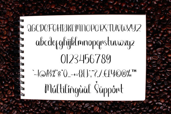 Amazing Beauty Font Poster 5