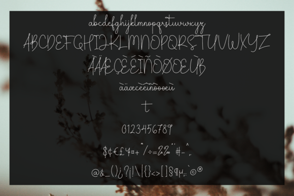 Amelin Secret Font Poster 4