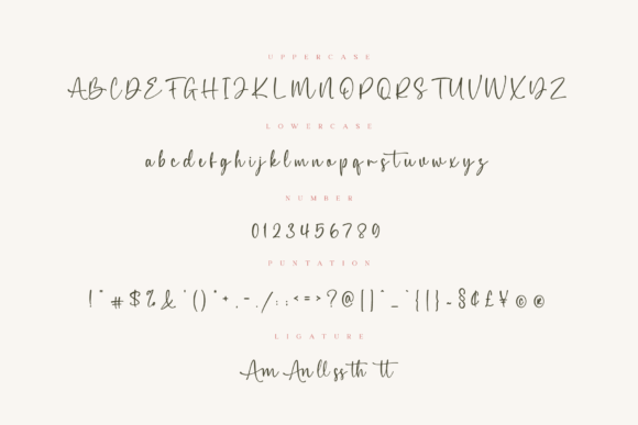 Amellia Font Poster 7