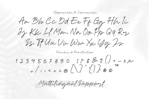 Amiline Font Poster 2