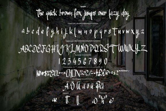 Amnesia Font Poster 6