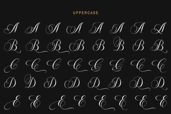 Amour Script Font Poster 7