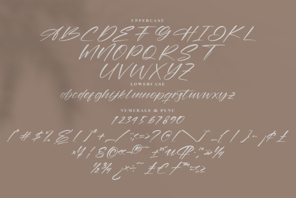 Amstera Balika Font Poster 13