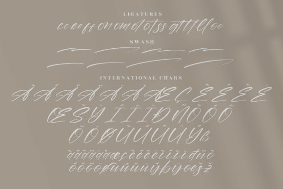 Amstera Balika Font Poster 14