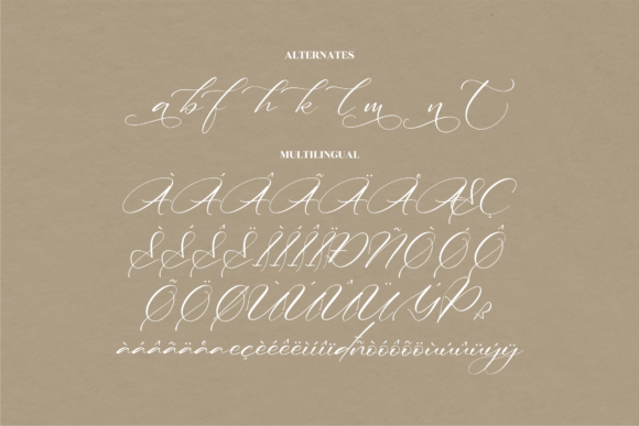 Amsterdam Belmonteria Font Poster 15