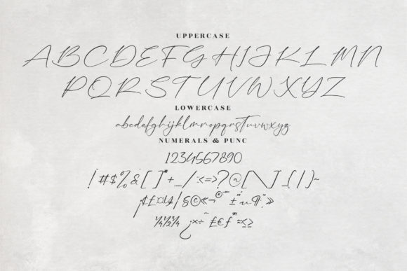Anastasia Timothy Font Poster 13