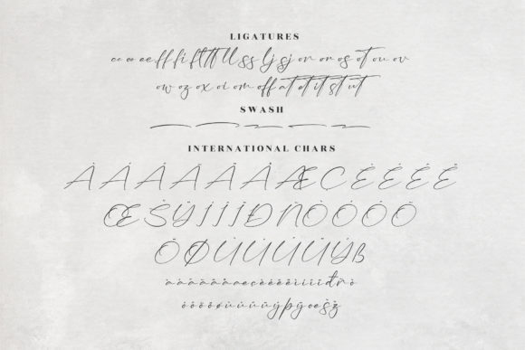 Anastasia Timothy Font Poster 14