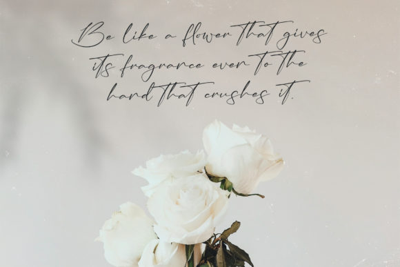 Anastasia Timothy Font Poster 9