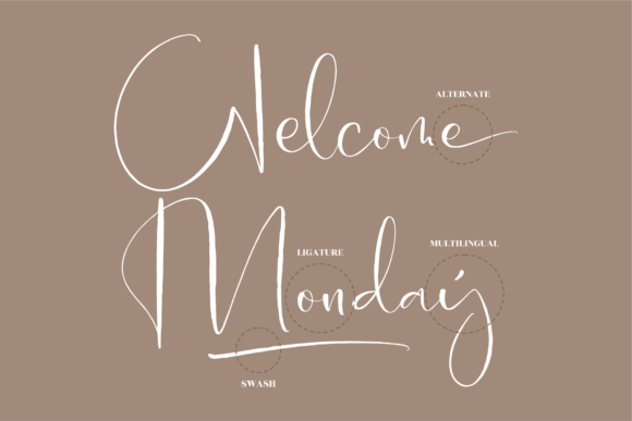 Andalusia Signature Font Poster 12