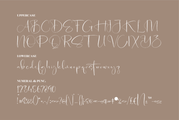 Andalusia Signature Font Poster 13