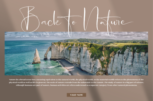 Andalusia Signature Font Poster 5