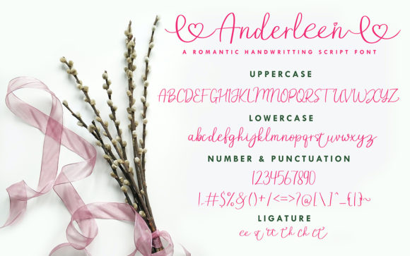 Anderleen Font Poster 9