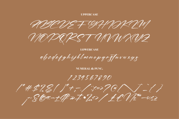 Andilante Gashina Font Poster 13