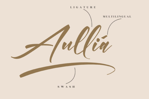 Andilanteria Signature Font Poster 12