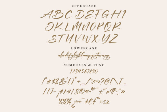 Andilanteria Signature Font Poster 13