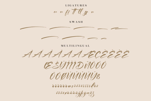 Andilanteria Signature Font Poster 14