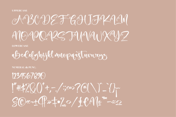 Andita Font Poster 13