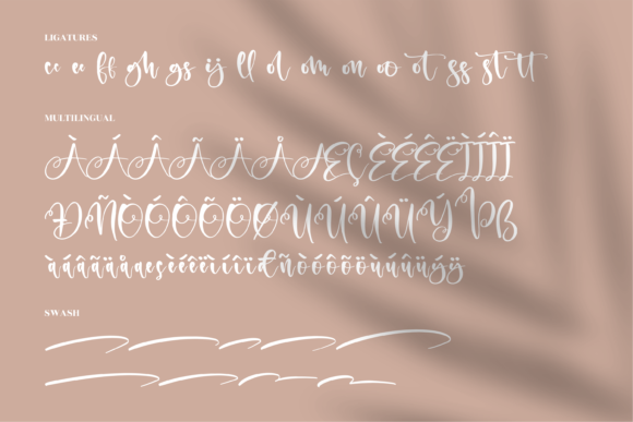 Andita Font Poster 14