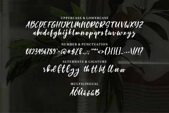 Anitta Font Poster 6