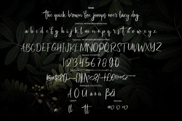 Anlaseki Font Poster 6