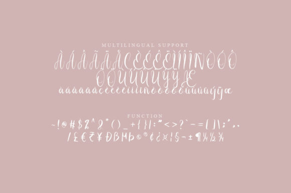 Anse Script Font Poster 3