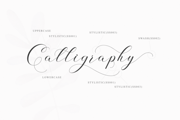 Anshelyna Font Poster 7