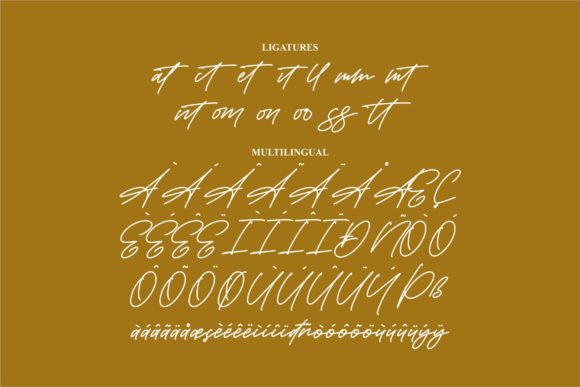 Antarlika Font Poster 14