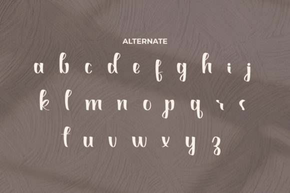 Anthonyela Font Poster 9