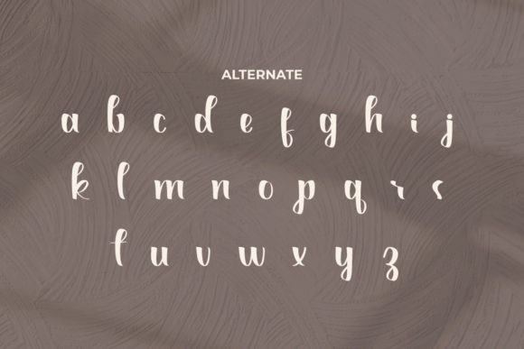 Anthonyela Font Poster 9