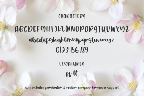 Apple Blossom Font Poster 10