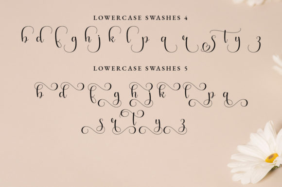 Arabela Script Font Poster 11